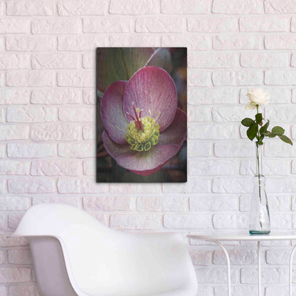 Luxe Metal Art 'Lenton Rose IV' by Debra Van Swearingen, Metal Wall Art,16x24