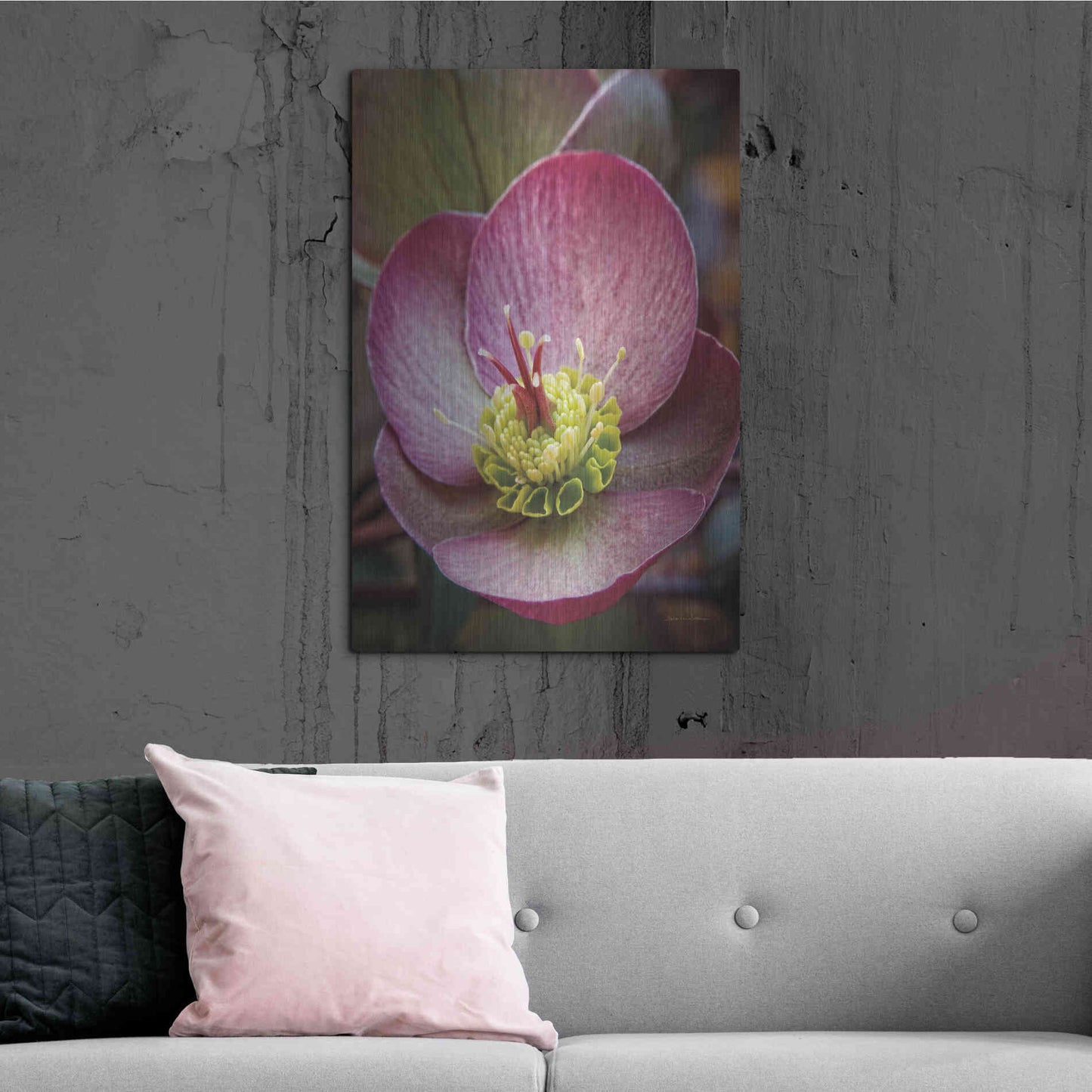 Luxe Metal Art 'Lenton Rose IV' by Debra Van Swearingen, Metal Wall Art,24x36