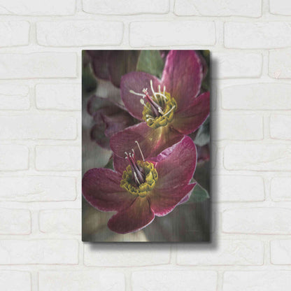 Luxe Metal Art 'Lenton Rose V' by Debra Van Swearingen, Metal Wall Art,12x16