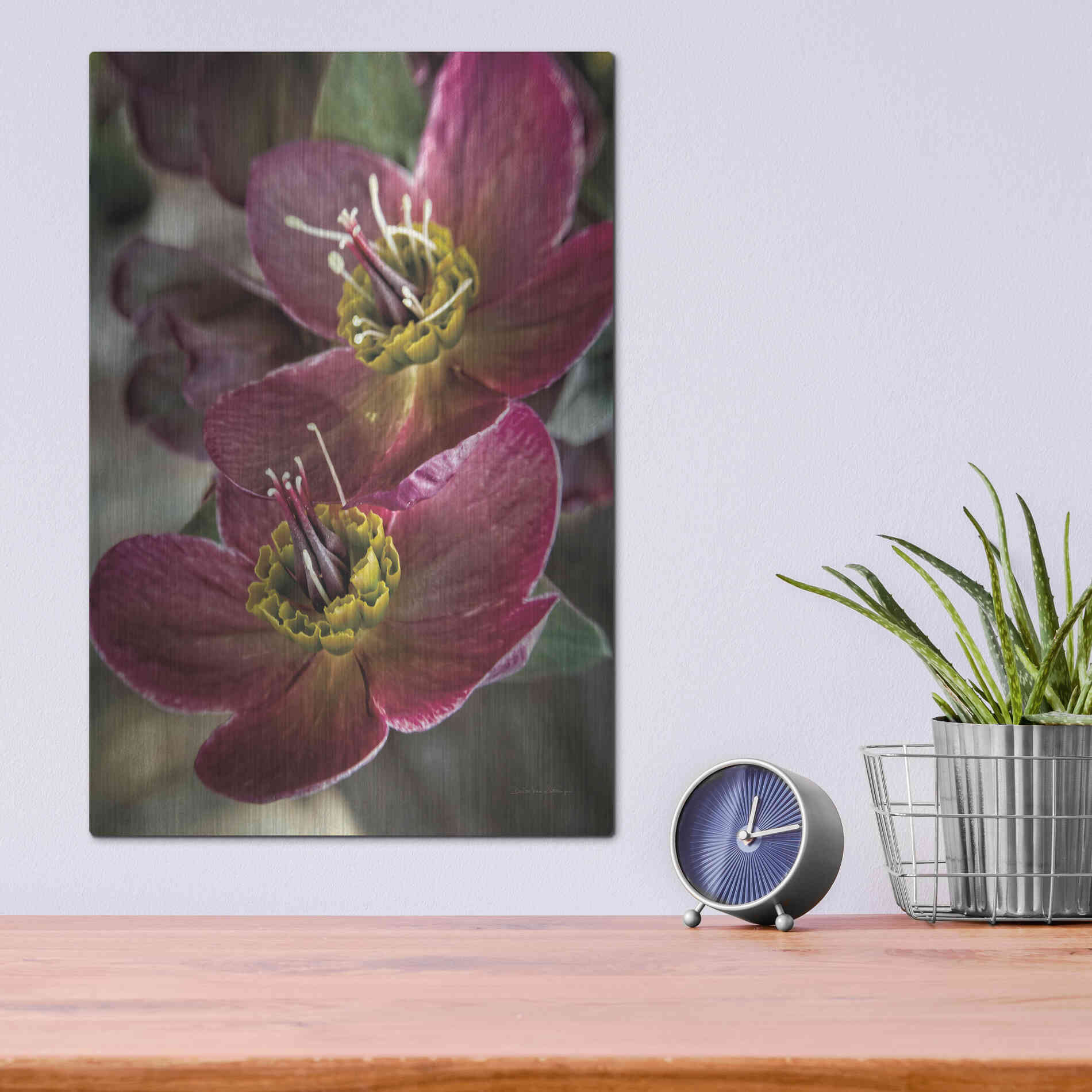 Luxe Metal Art 'Lenton Rose V' by Debra Van Swearingen, Metal Wall Art,12x16