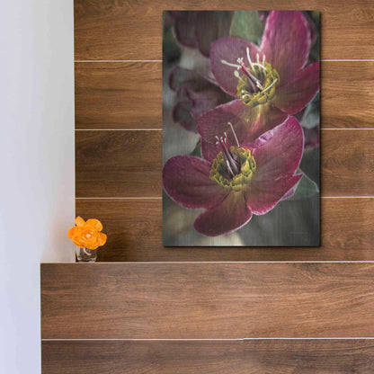 Luxe Metal Art 'Lenton Rose V' by Debra Van Swearingen, Metal Wall Art,12x16