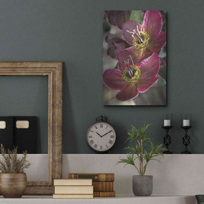 Luxe Metal Art 'Lenton Rose V' by Debra Van Swearingen, Metal Wall Art,12x16