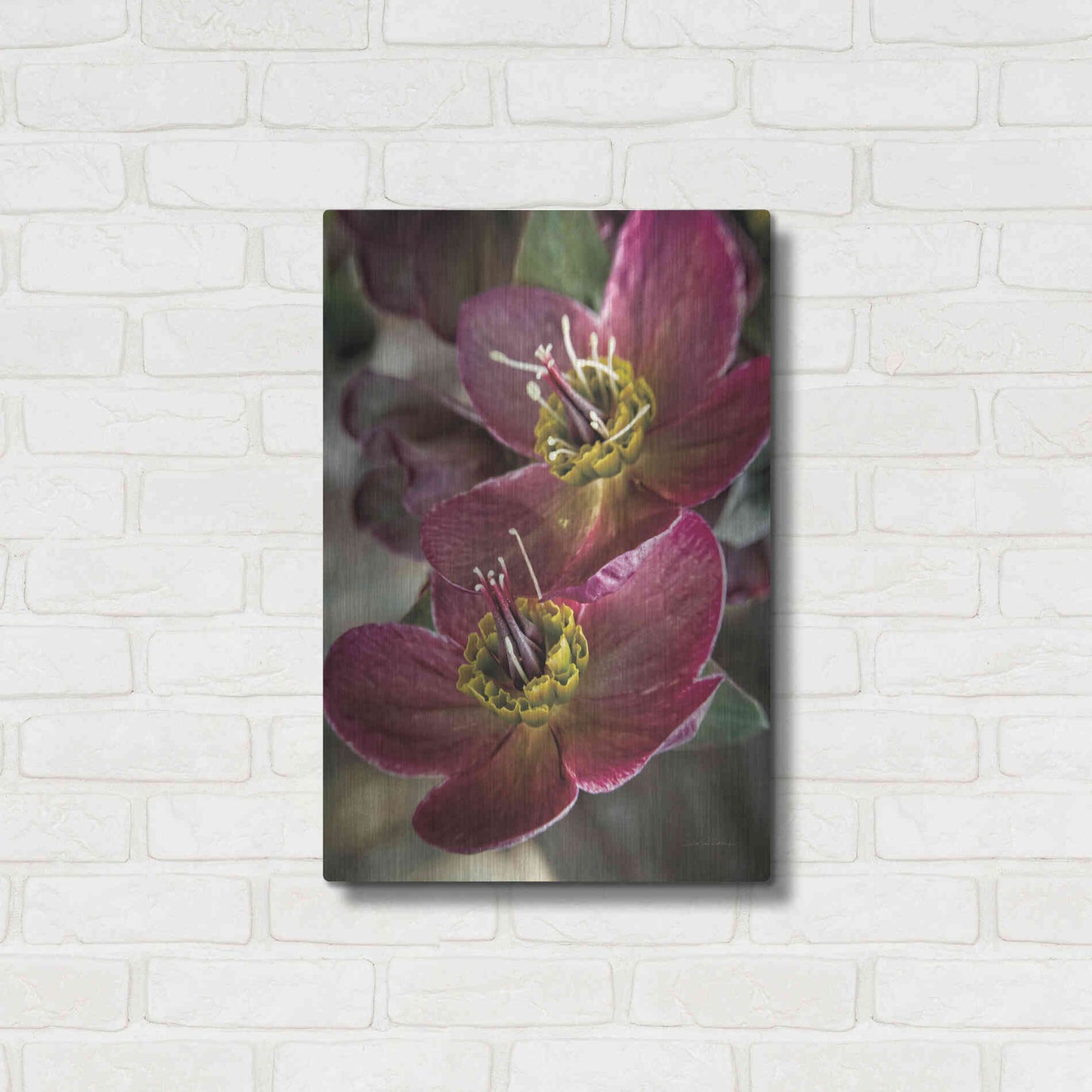 Luxe Metal Art 'Lenton Rose V' by Debra Van Swearingen, Metal Wall Art,16x24