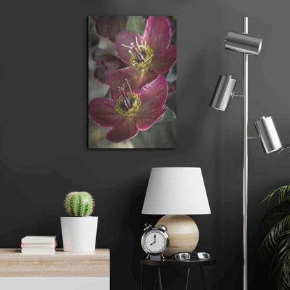 Luxe Metal Art 'Lenton Rose V' by Debra Van Swearingen, Metal Wall Art,16x24