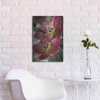 Luxe Metal Art 'Lenton Rose V' by Debra Van Swearingen, Metal Wall Art,16x24