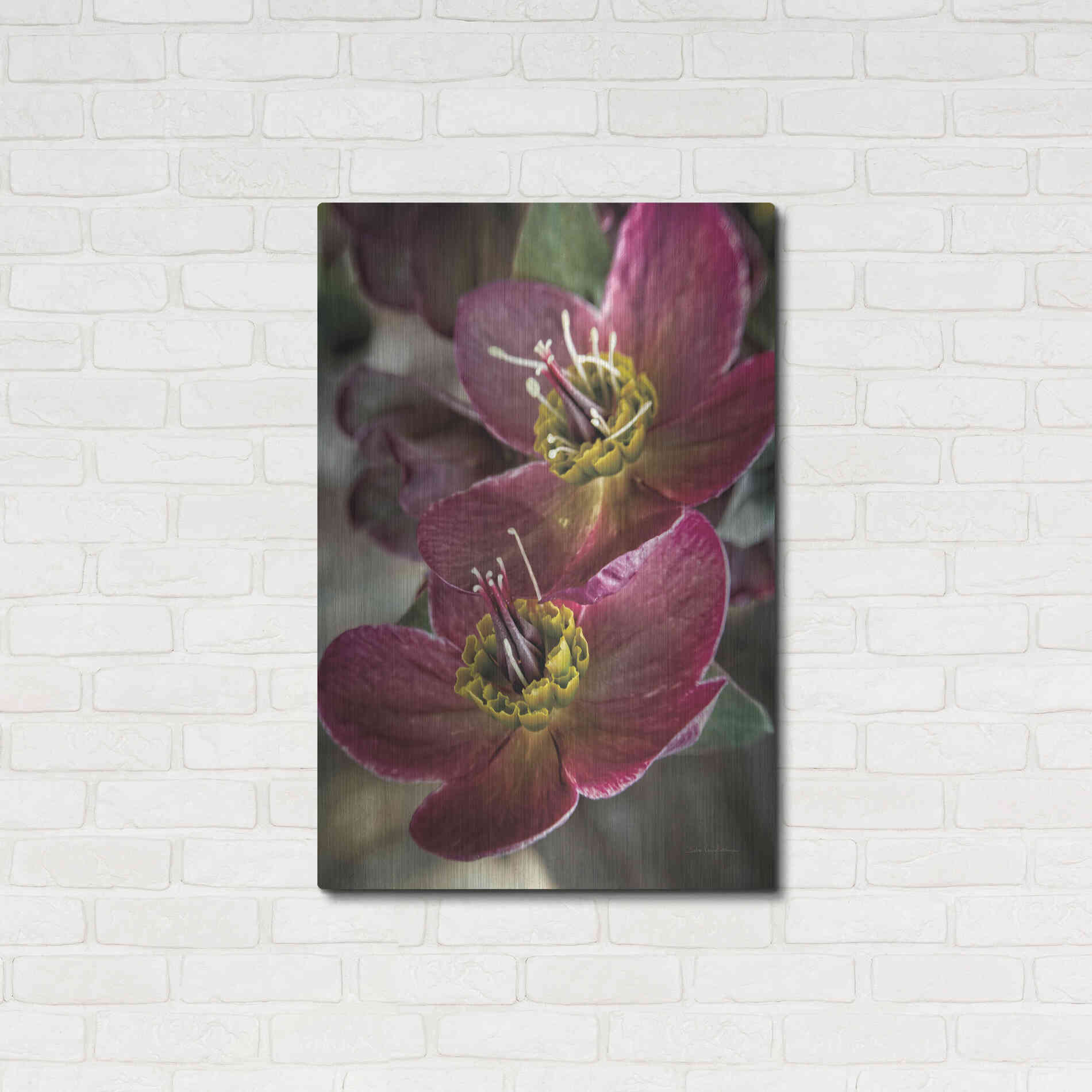 Luxe Metal Art 'Lenton Rose V' by Debra Van Swearingen, Metal Wall Art,24x36