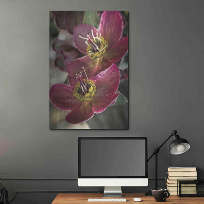 Luxe Metal Art 'Lenton Rose V' by Debra Van Swearingen, Metal Wall Art,24x36