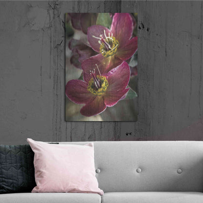 Luxe Metal Art 'Lenton Rose V' by Debra Van Swearingen, Metal Wall Art,24x36