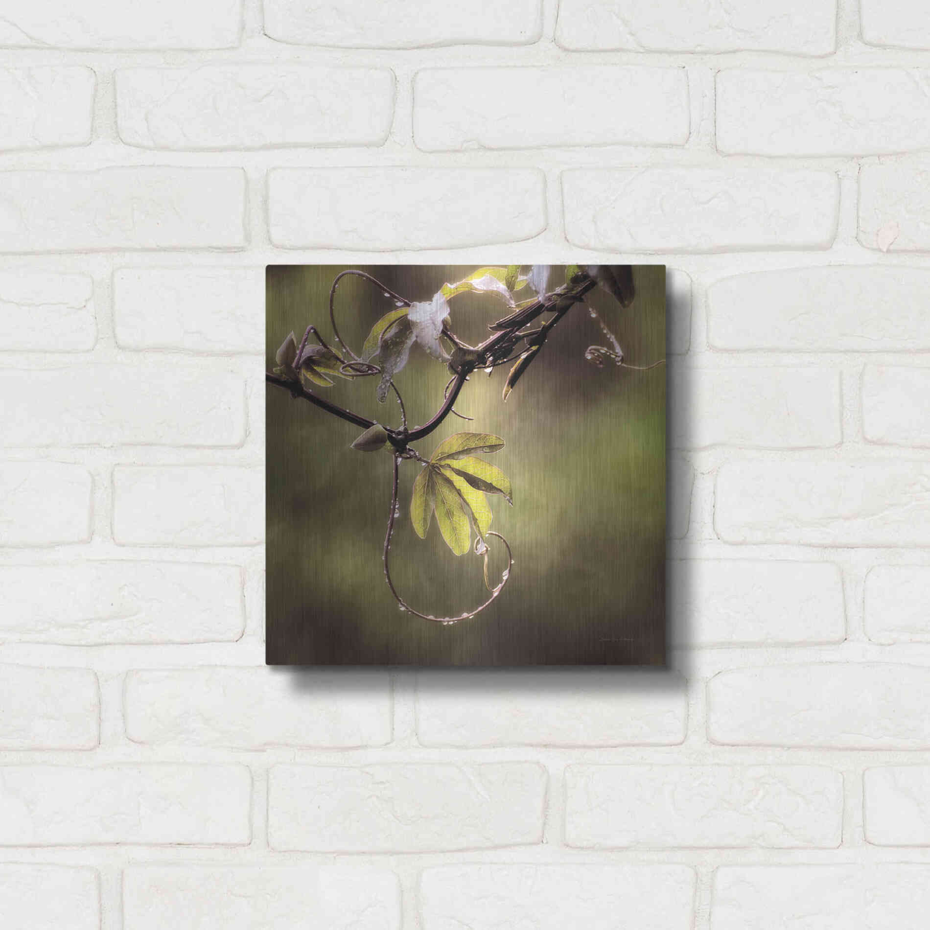 Luxe Metal Art 'Passion Flower Vine I' by Debra Van Swearingen, Metal Wall Art,12x12