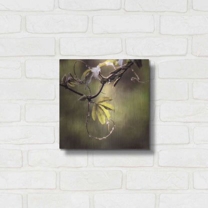 Luxe Metal Art 'Passion Flower Vine I' by Debra Van Swearingen, Metal Wall Art,12x12