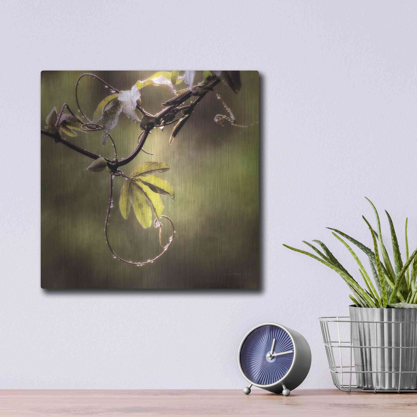 Luxe Metal Art 'Passion Flower Vine I' by Debra Van Swearingen, Metal Wall Art,12x12