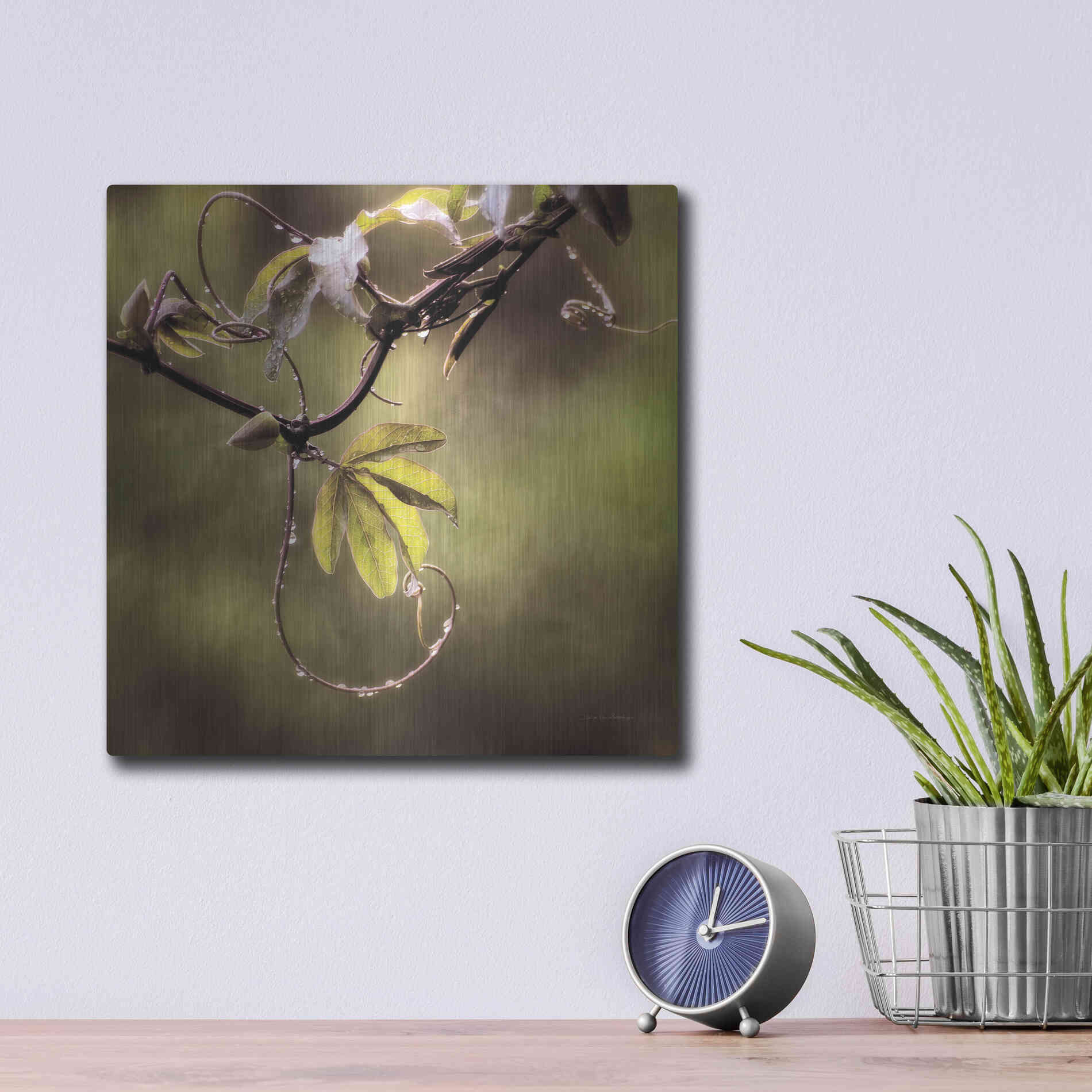 Luxe Metal Art 'Passion Flower Vine I' by Debra Van Swearingen, Metal Wall Art,12x12