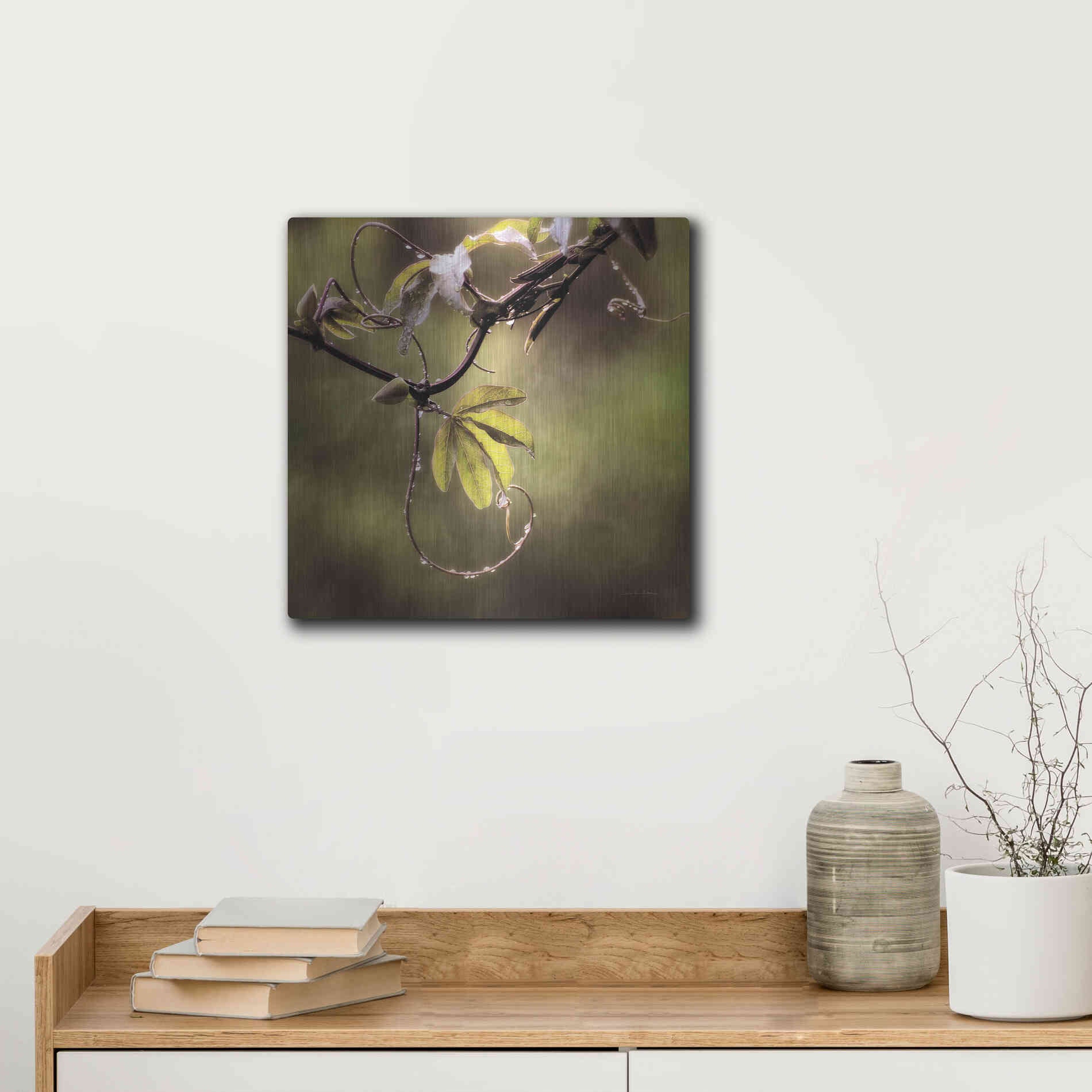 Luxe Metal Art 'Passion Flower Vine I' by Debra Van Swearingen, Metal Wall Art,12x12