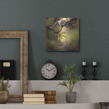 Luxe Metal Art 'Passion Flower Vine I' by Debra Van Swearingen, Metal Wall Art,12x12