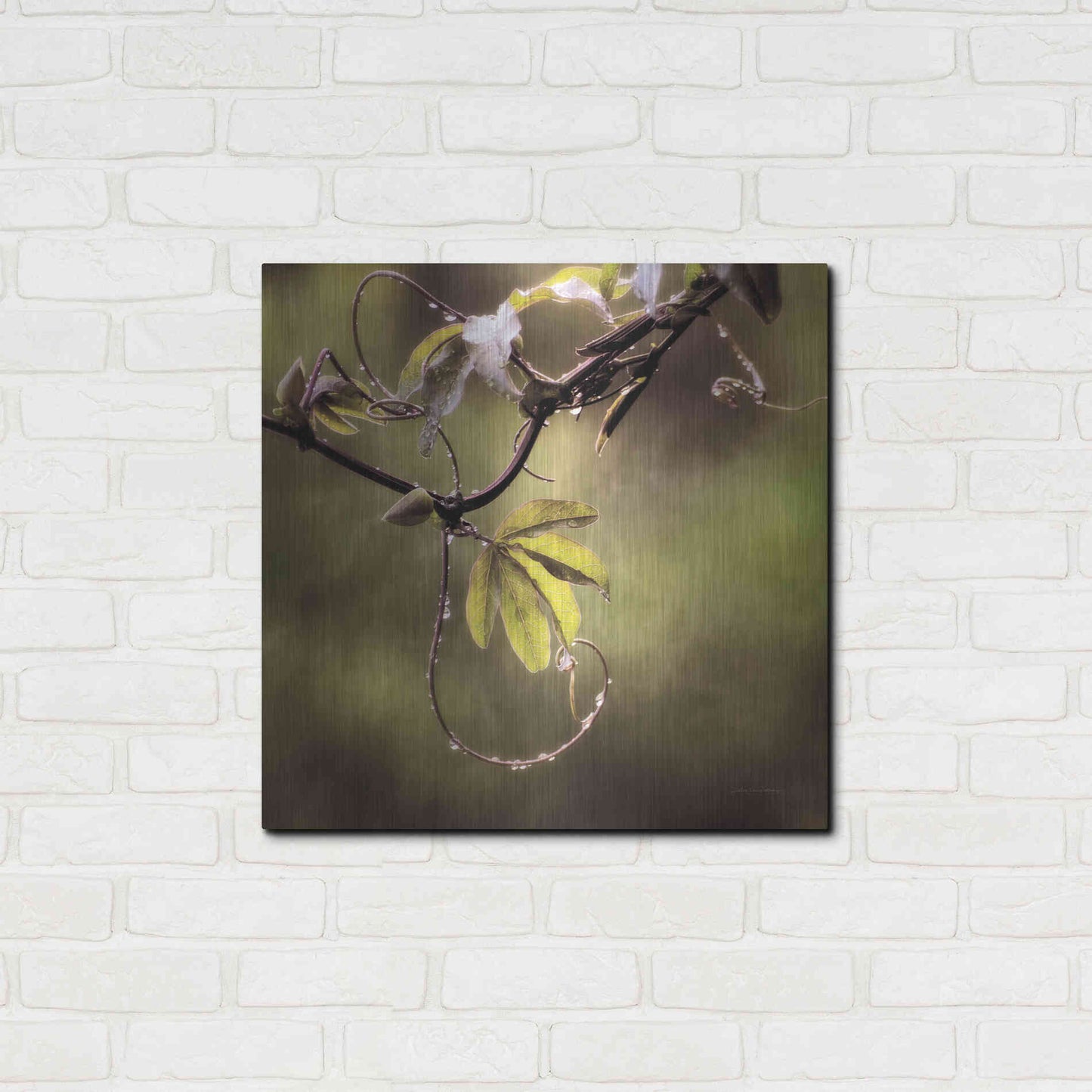 Luxe Metal Art 'Passion Flower Vine I' by Debra Van Swearingen, Metal Wall Art,24x24