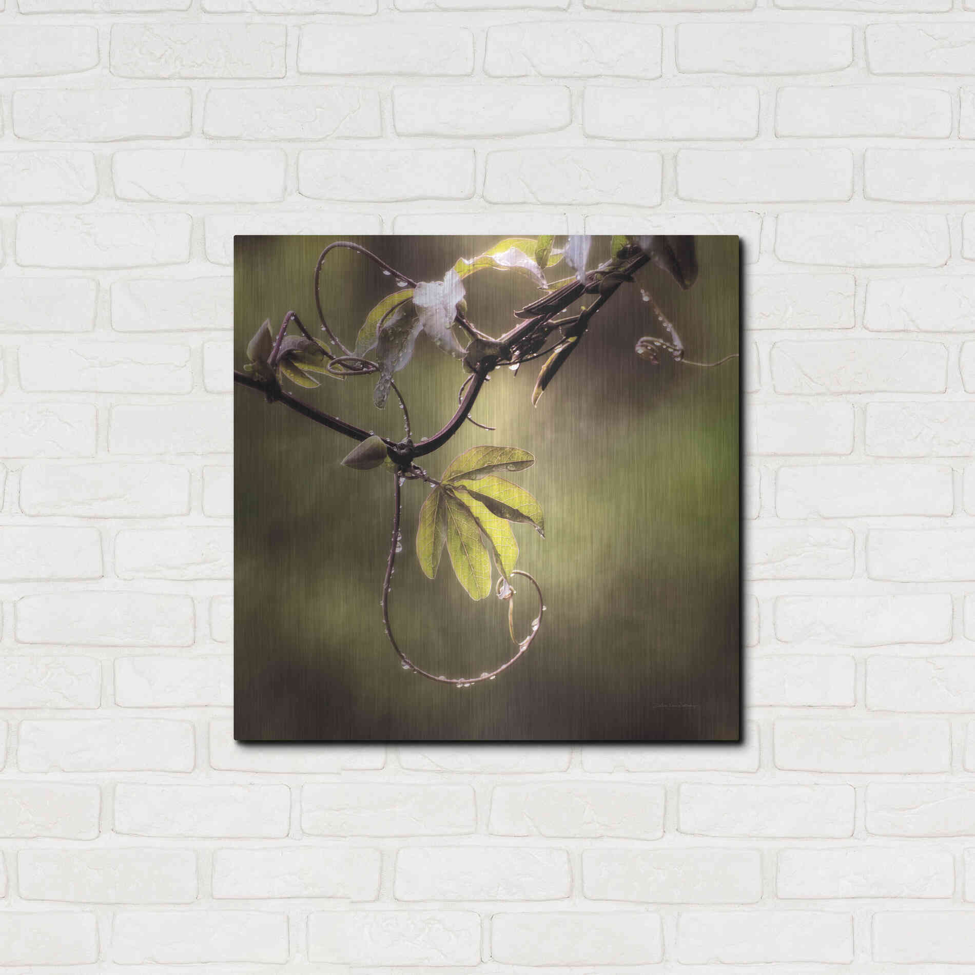 Luxe Metal Art 'Passion Flower Vine I' by Debra Van Swearingen, Metal Wall Art,24x24