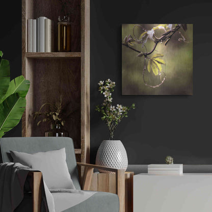 Luxe Metal Art 'Passion Flower Vine I' by Debra Van Swearingen, Metal Wall Art,24x24
