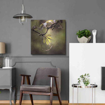 Luxe Metal Art 'Passion Flower Vine I' by Debra Van Swearingen, Metal Wall Art,24x24
