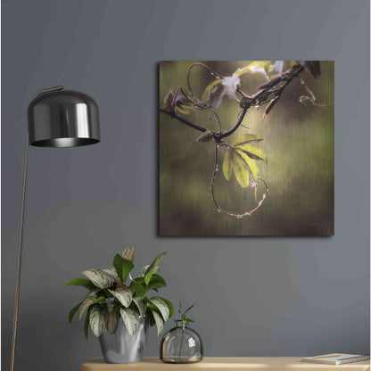 Luxe Metal Art 'Passion Flower Vine I' by Debra Van Swearingen, Metal Wall Art,24x24
