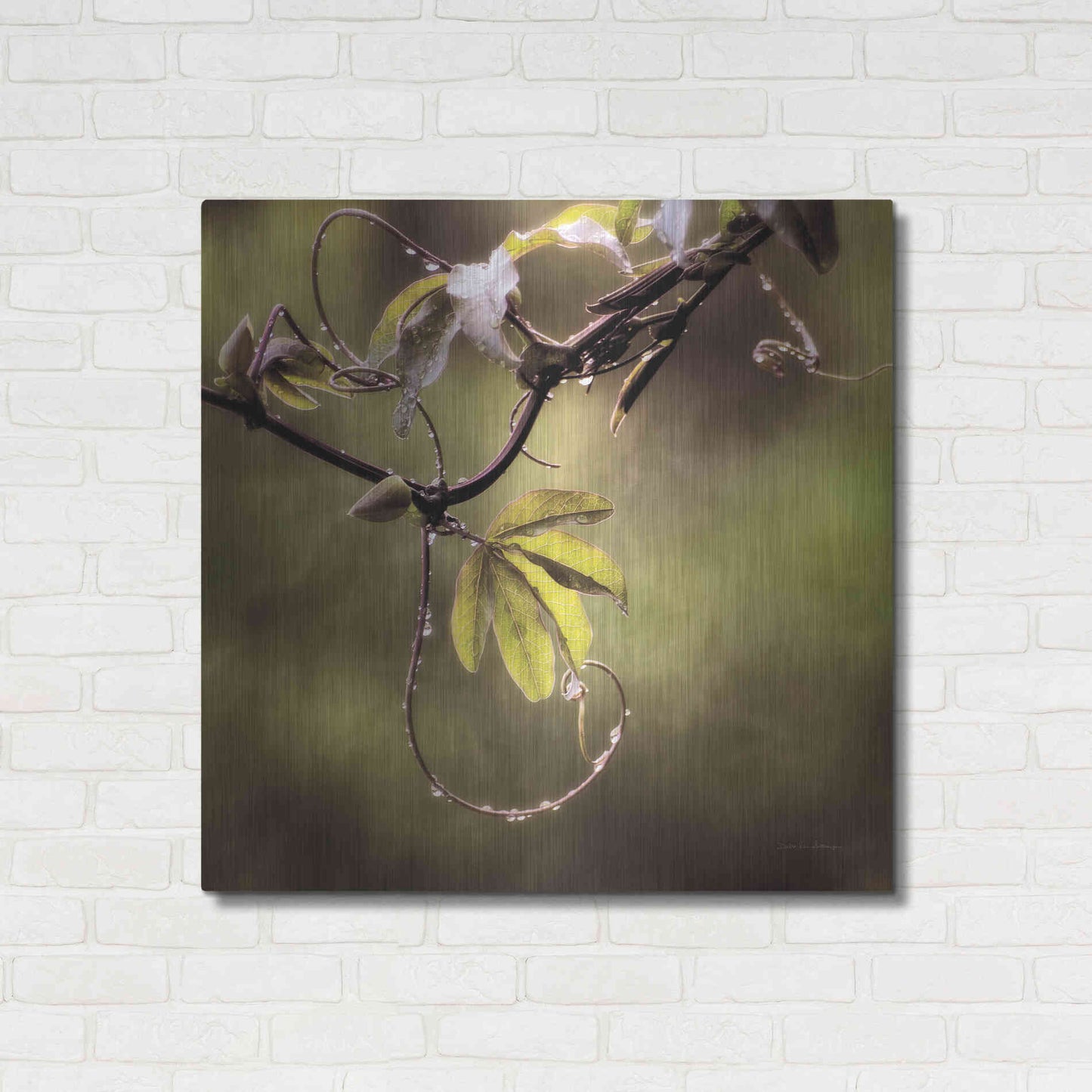Luxe Metal Art 'Passion Flower Vine I' by Debra Van Swearingen, Metal Wall Art,36x36