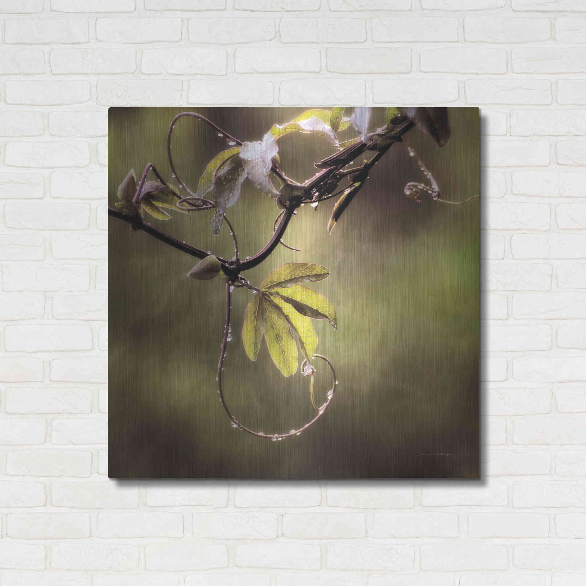 Luxe Metal Art 'Passion Flower Vine I' by Debra Van Swearingen, Metal Wall Art,36x36