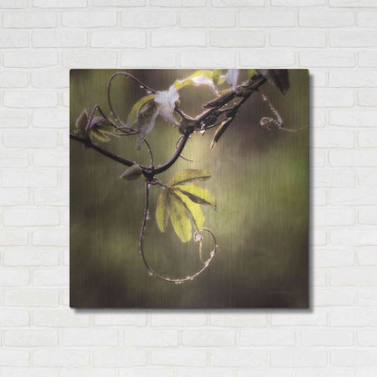 Luxe Metal Art 'Passion Flower Vine I' by Debra Van Swearingen, Metal Wall Art,36x36