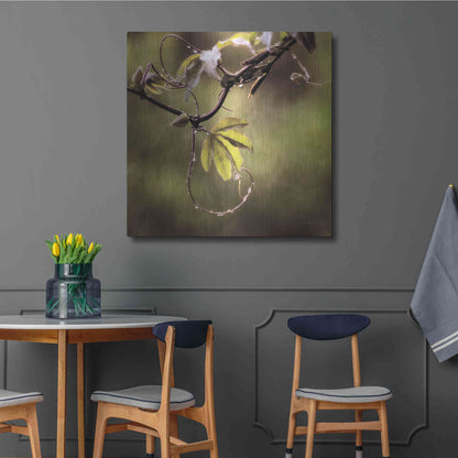 Luxe Metal Art 'Passion Flower Vine I' by Debra Van Swearingen, Metal Wall Art,36x36