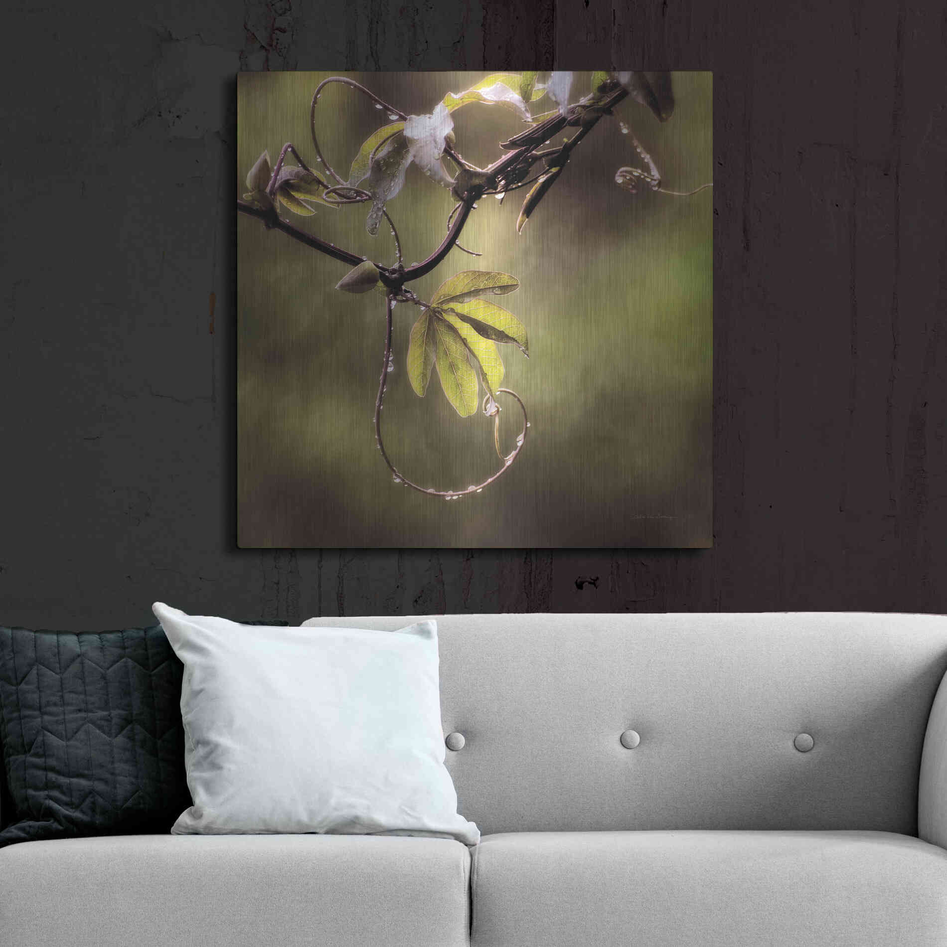 Luxe Metal Art 'Passion Flower Vine I' by Debra Van Swearingen, Metal Wall Art,36x36