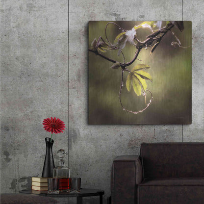 Luxe Metal Art 'Passion Flower Vine I' by Debra Van Swearingen, Metal Wall Art,36x36