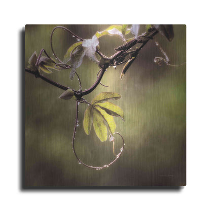 Luxe Metal Art 'Passion Flower Vine I' by Debra Van Swearingen, Metal Wall Art