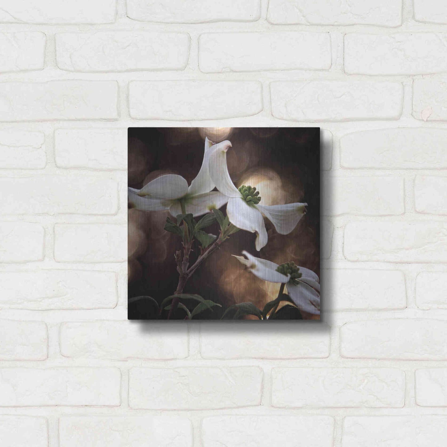 Luxe Metal Art 'White Dogwood I' by Debra Van Swearingen, Metal Wall Art,12x12