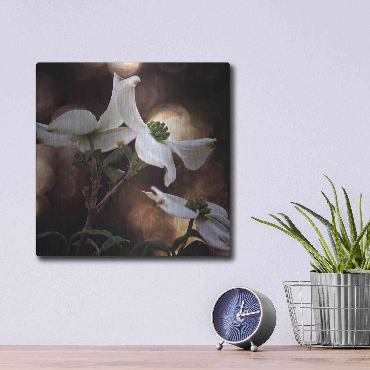 Luxe Metal Art 'White Dogwood I' by Debra Van Swearingen, Metal Wall Art,12x12