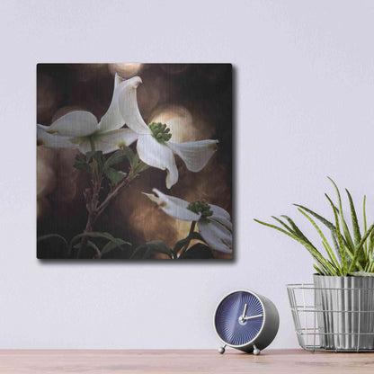 Luxe Metal Art 'White Dogwood I' by Debra Van Swearingen, Metal Wall Art,12x12