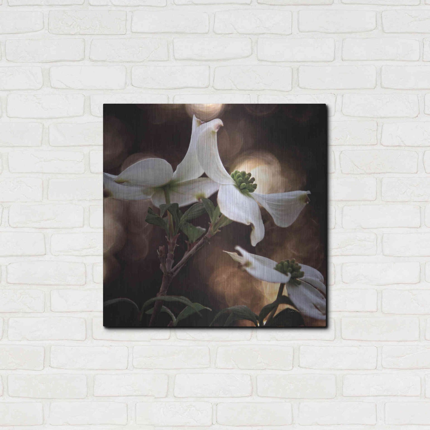 Luxe Metal Art 'White Dogwood I' by Debra Van Swearingen, Metal Wall Art,24x24