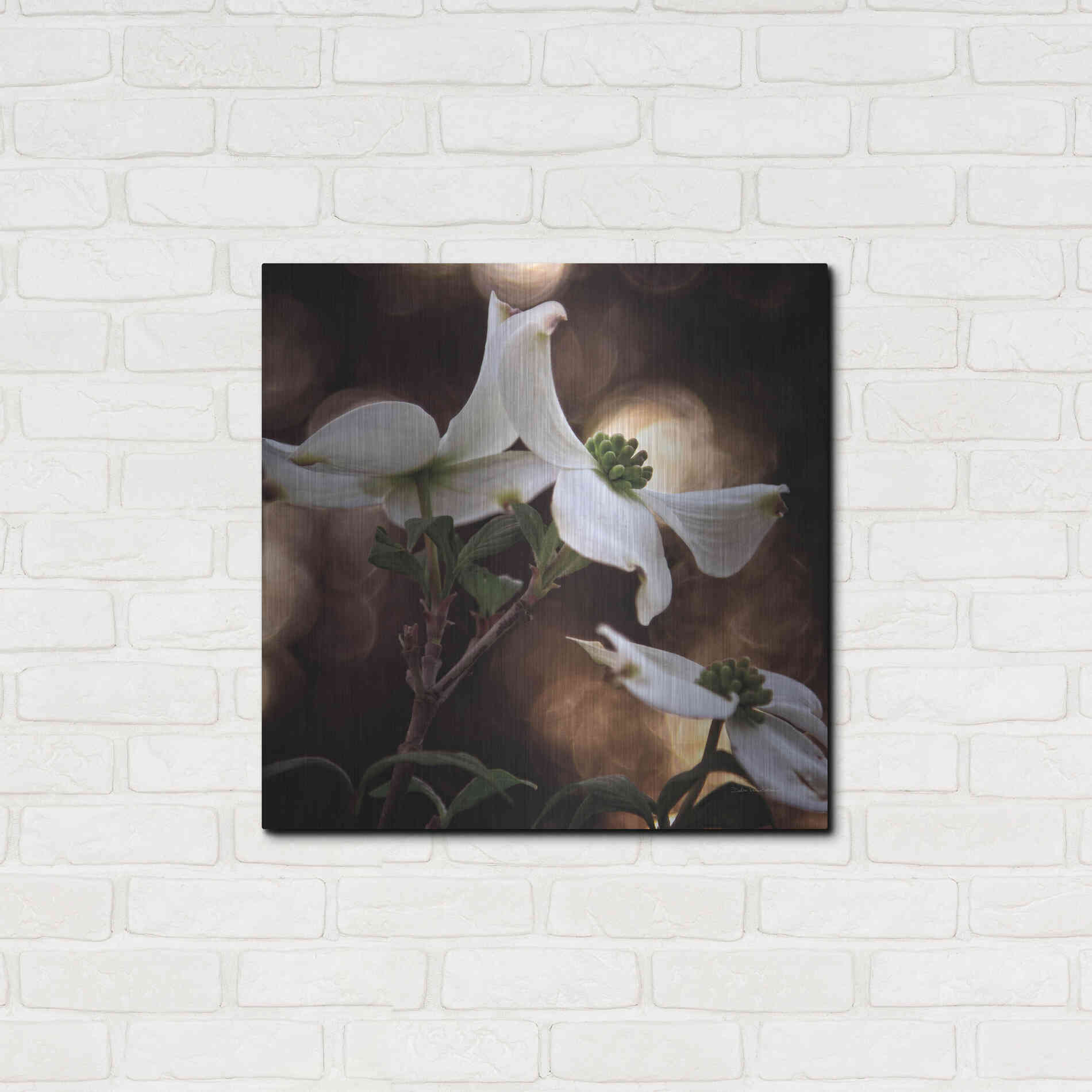 Luxe Metal Art 'White Dogwood I' by Debra Van Swearingen, Metal Wall Art,24x24