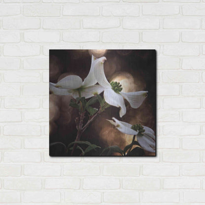 Luxe Metal Art 'White Dogwood I' by Debra Van Swearingen, Metal Wall Art,24x24