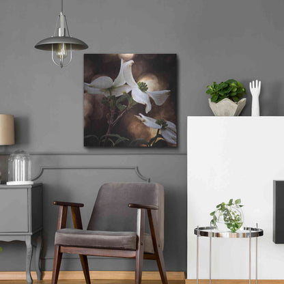 Luxe Metal Art 'White Dogwood I' by Debra Van Swearingen, Metal Wall Art,24x24