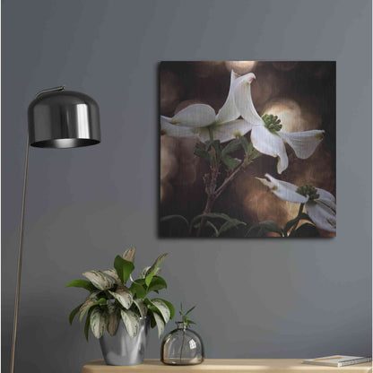 Luxe Metal Art 'White Dogwood I' by Debra Van Swearingen, Metal Wall Art,24x24