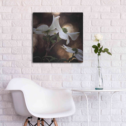 Luxe Metal Art 'White Dogwood I' by Debra Van Swearingen, Metal Wall Art,24x24