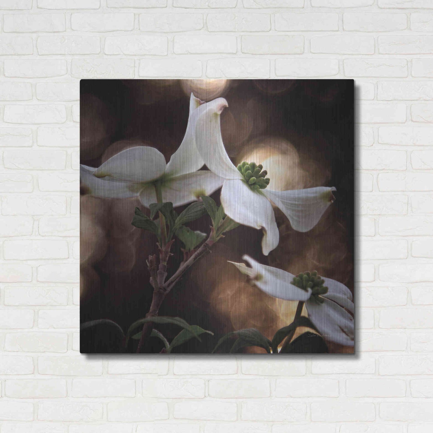 Luxe Metal Art 'White Dogwood I' by Debra Van Swearingen, Metal Wall Art,36x36