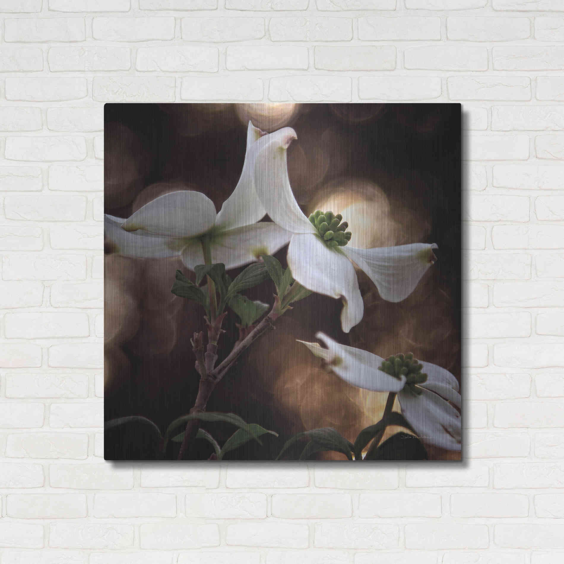 Luxe Metal Art 'White Dogwood I' by Debra Van Swearingen, Metal Wall Art,36x36