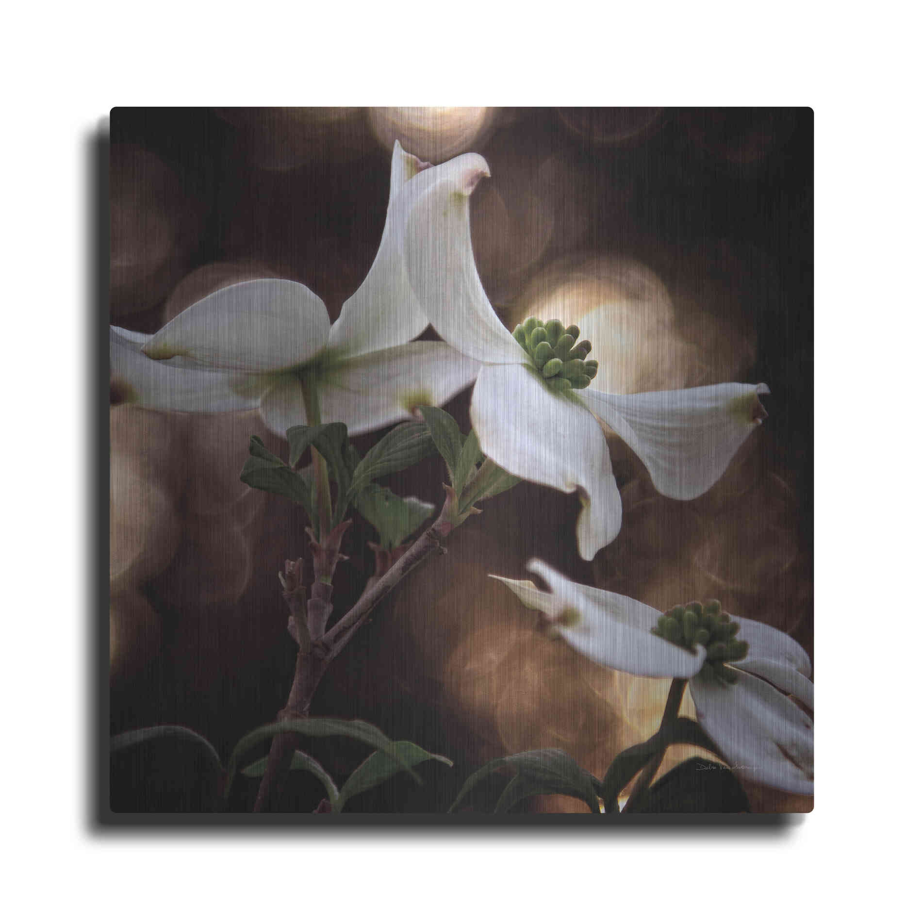 Luxe Metal Art 'White Dogwood I' by Debra Van Swearingen, Metal Wall Art