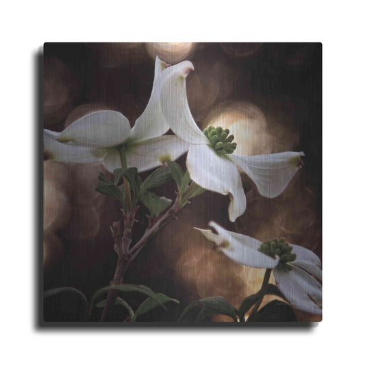 Luxe Metal Art 'White Dogwood I' by Debra Van Swearingen, Metal Wall Art