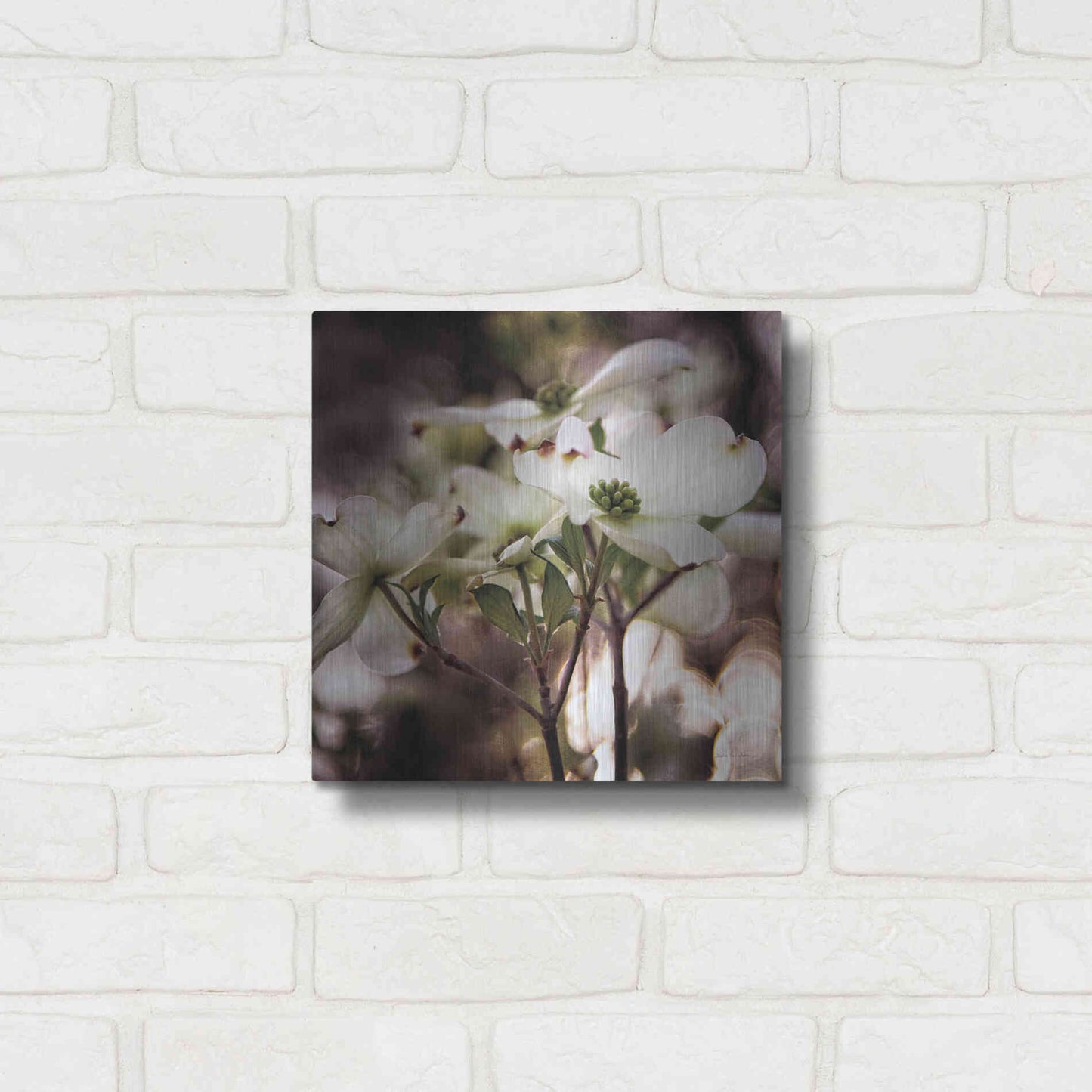 Luxe Metal Art 'White Dogwood II' by Debra Van Swearingen, Metal Wall Art,12x12