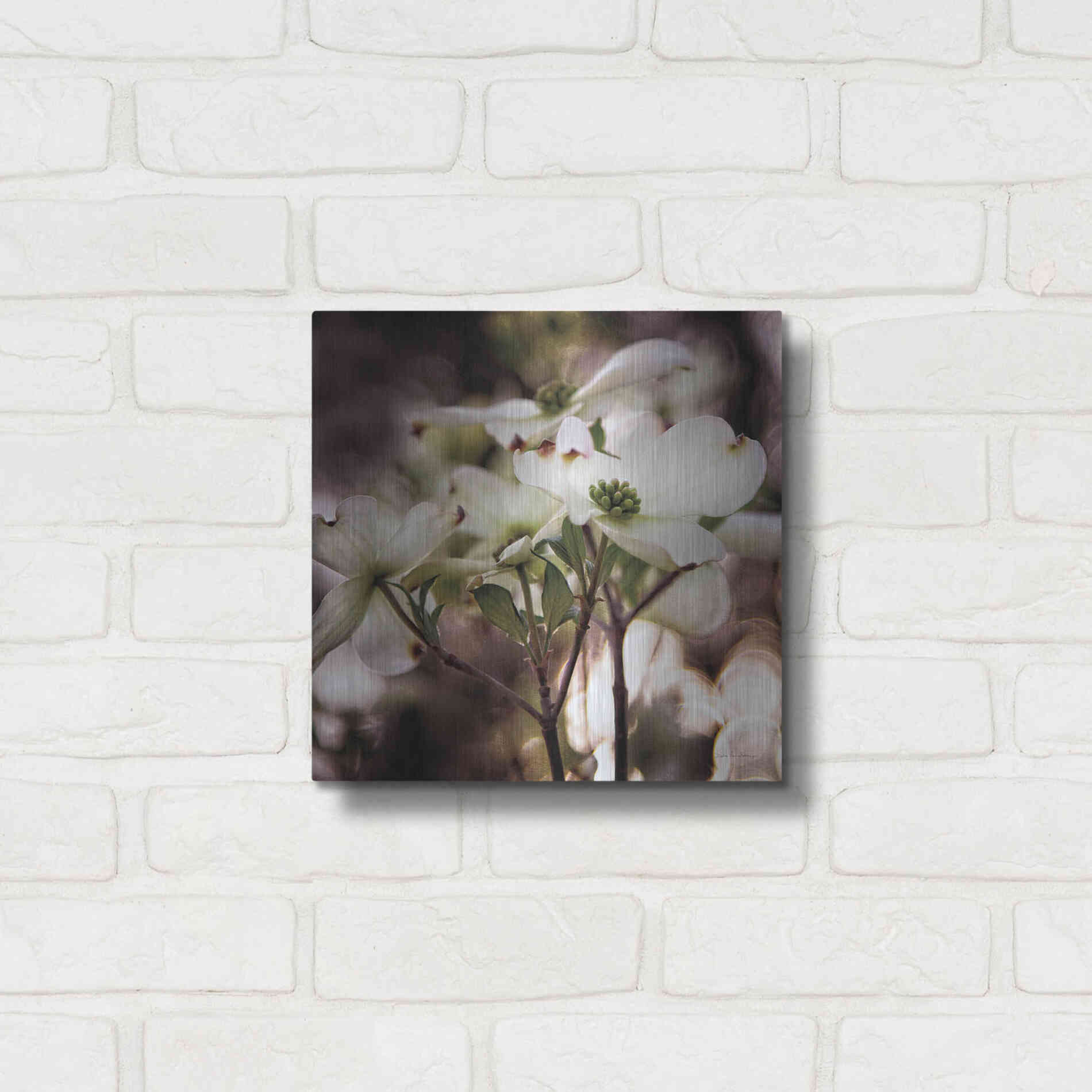 Luxe Metal Art 'White Dogwood II' by Debra Van Swearingen, Metal Wall Art,12x12