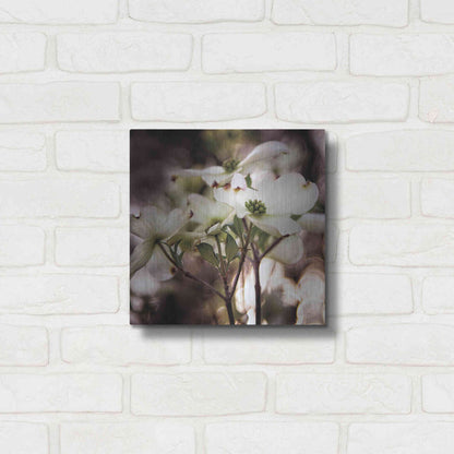 Luxe Metal Art 'White Dogwood II' by Debra Van Swearingen, Metal Wall Art,12x12