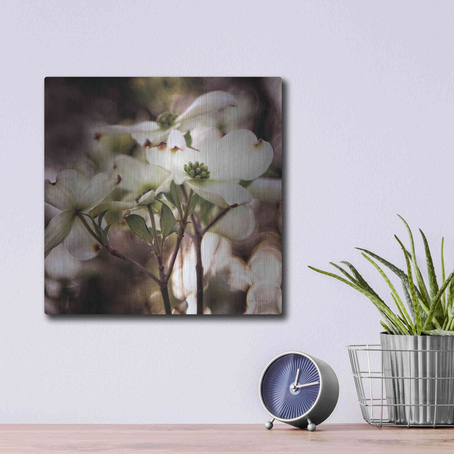 Luxe Metal Art 'White Dogwood II' by Debra Van Swearingen, Metal Wall Art,12x12