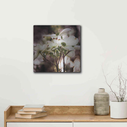 Luxe Metal Art 'White Dogwood II' by Debra Van Swearingen, Metal Wall Art,12x12