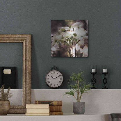 Luxe Metal Art 'White Dogwood II' by Debra Van Swearingen, Metal Wall Art,12x12