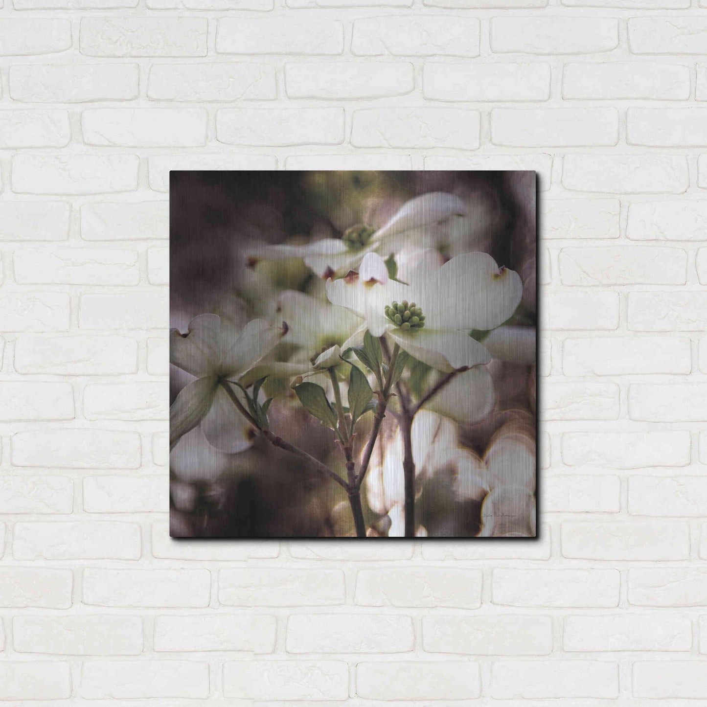 Luxe Metal Art 'White Dogwood II' by Debra Van Swearingen, Metal Wall Art,24x24